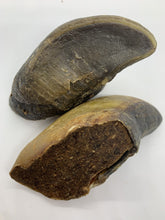Load image into Gallery viewer, Cow Hooves With Dehydrated Kangaroo Mince